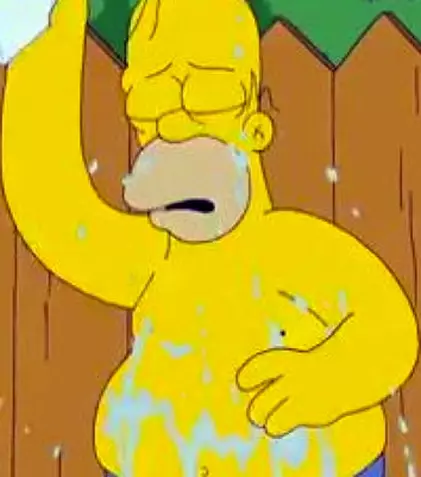 VIDEO: Ice Bucket Challenge a ajuns în Springfield