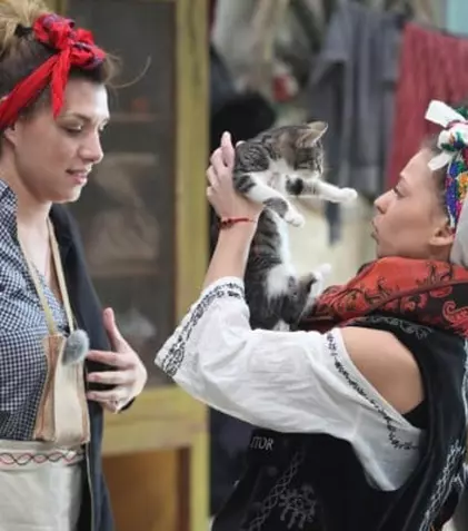 Rezumat la „Fermă…”: măgarul Tarzan a fugit și portocalele au dispărut!