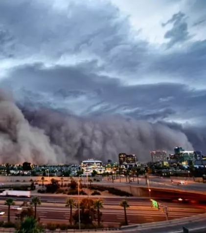 BBC Earth aduce două documentare noi