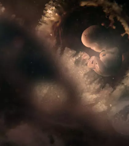 O nouă serie documentară la BBC Earth: Când începe „Nouă luni definitorii”