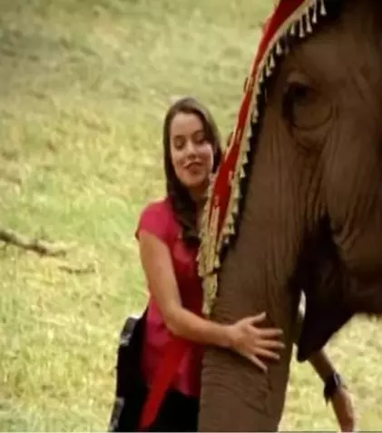 Premieră la Megamax: serialul pentru adolescenți „Prințesa elefant”