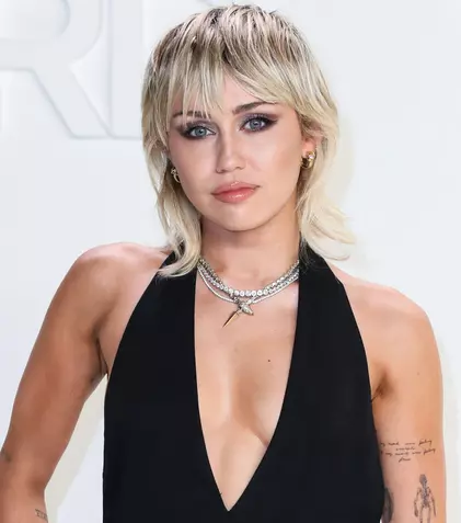 Miley Cyrus uimește într-o rochie transparentă, din plasă. Imaginea publicată în mediul online