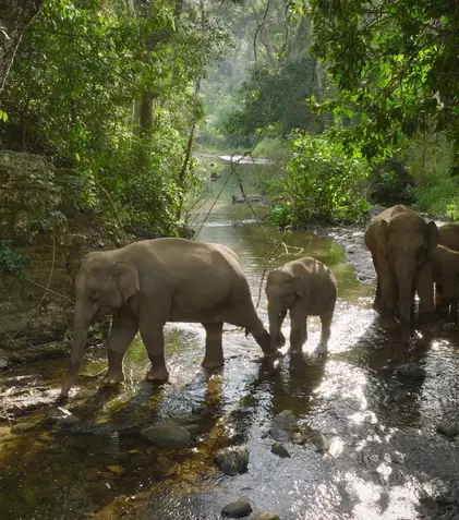 Premierele lunii august 2023 la National Geographic și National Geographic Wild