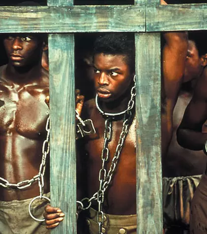 Remake-ul miniseriei „Roots / Rădăcini” se vede în SUA în 2016