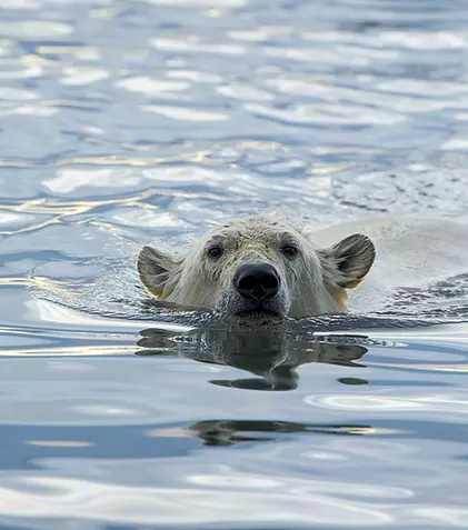 Documentarul „Sălbăticia Alaskăi” are premiera, duminică, la BBC Earth