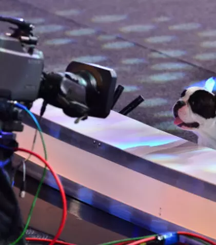 “Ham talent” începe duminică, 18 octombrie, de la ora 20.30, la Antena 1