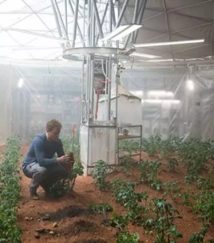 Actorul Matt Damon s-a apucat de vândut cartofi