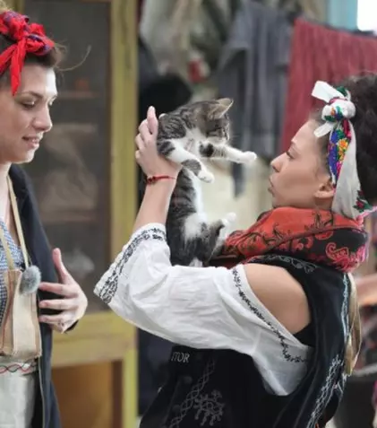 Rezumat la „Fermă…”: măgarul Tarzan a fugit și portocalele au dispărut!