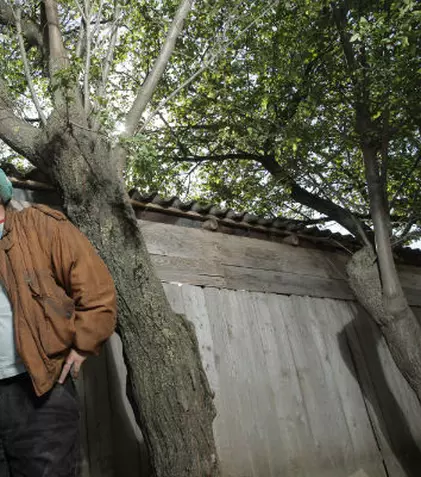 „Las Fierbinţi”: Celentano se hotărăște să plece înspre soare-apune, via Dridu