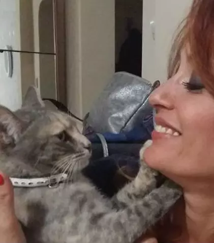 Cele șapte vieți ale pisicii Ancăi Țurcașiu