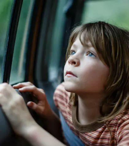 „Pete şi dragonul”, o poveste fantastică despre o prietenie simplă