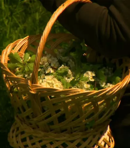 Digi Life lansează seria de minidocumentare „Vraci, secrete și rețete”