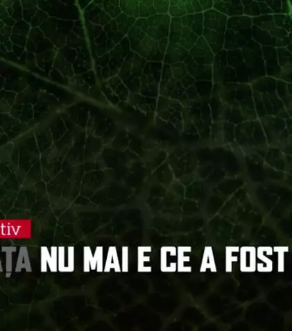 "Un an. Un minut şi o secundă", un documentar despre Colectiv, la Digi24