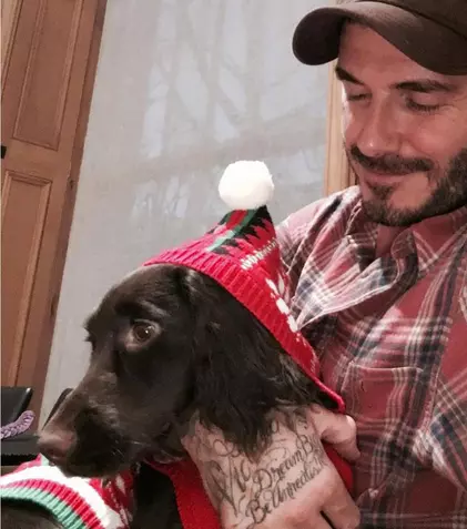 Ce animale de companie şi-au ales vedetele tale preferate