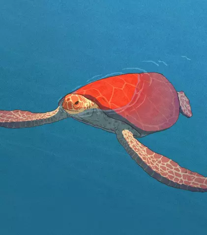 TRAILER: „Țestoasa roșie” intră de vineri în cinematografe