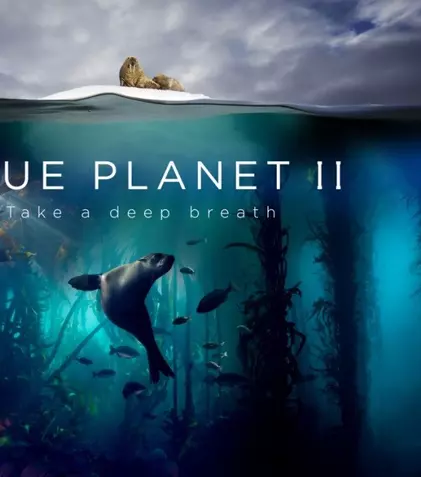 Radiohead și Hans Zimmer colaborează pentru coloana sonoră a documentarului „Planeta albastră II”