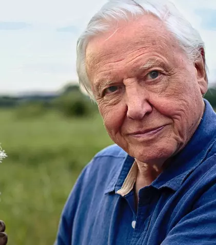 Sir David Attenborough se întoarce la BBC cu „Dynasty”
