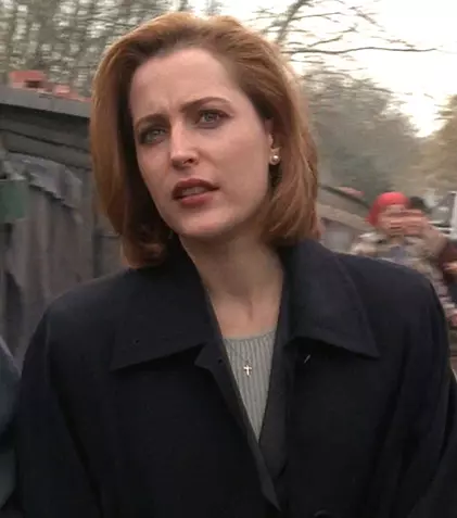 După „Dosarele X” și „Zei americani”, Gillian Anderson are un nou proiect. Actrița a semnat cu Netflix