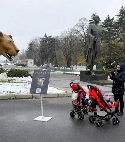 GALERIE FOTO. BBC Earth aduce documentarul „Dinastii” în România