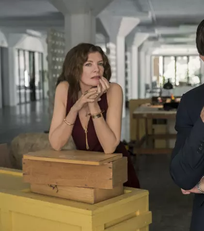 GALERIE FOTO. Netflix lansează pe 1 februarie filmul „Arta este periculoasă” / „Velvet Buzzsaw”