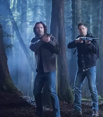 Toate lucrurile bune se termină! „Supernatural”, „Arcașul”, „Vikingii”... – ce seriale se termină în 2020