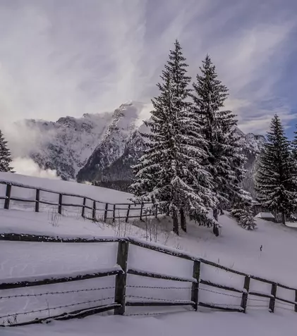 GALERIE FOTO. Ultimul episod al seriei „Wild Carpathia” va fi difuzat astăzi, în premieră, de TVR 1