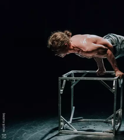 Spectacolul „Eine Kleine Nachtmusik”, de Gigi Căciuleanu, poate fi urmărit online miercuri, 25 martie