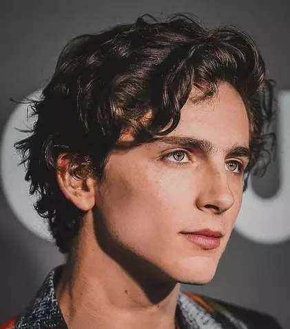 Timothée Chalamet, surprins în ipostaze romantice alături de o celebră actriță