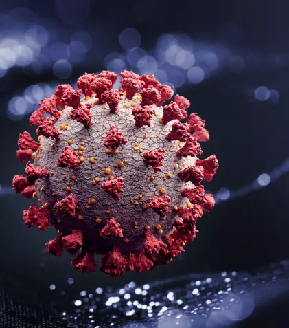 Discovery Channel transmite în premieră „Covid-19: Pericol mondial”, un nou documentar special despre coronavirus