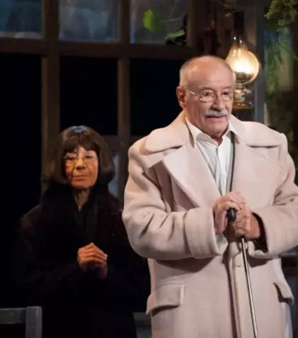 TVR 3 va difuza în weekend piesa de teatru „Unchiul Vanea” de A. P. Cehov, cu Victor Rebengiuc