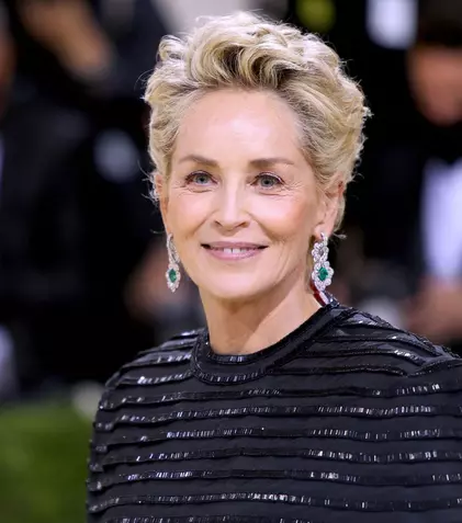 Sharon Stone revine pe micul ecran. Actrița are un rol-cheie în serialul „Însoțitoarea de zbor”, sezonul 2