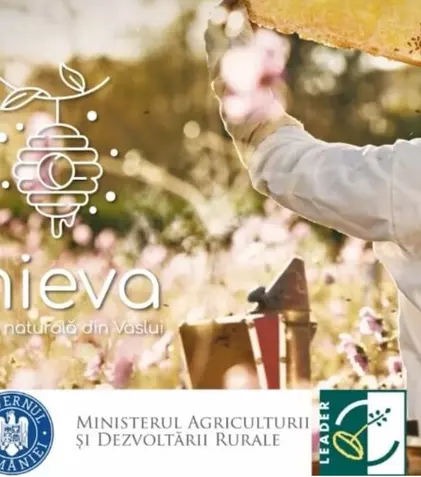 5 motive să cumperi miere naturală