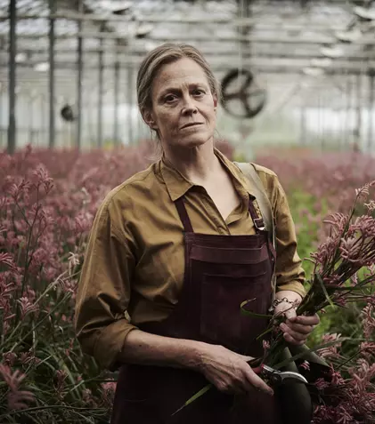 Ecranizările a șase romane de succes, de la „Florile pierdute ale lui Alice Hart” la „Tatuatorul de la Auschwitz”, ajung curând pe ecrane