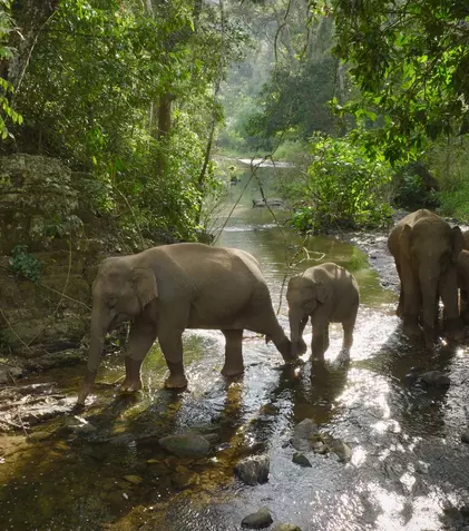 Premierele lunii august 2023 la National Geographic și National Geographic Wild
