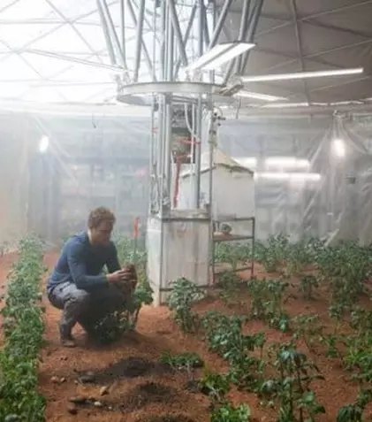 Actorul Matt Damon s-a apucat de vândut cartofi