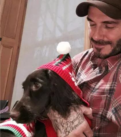 Ce animale de companie şi-au ales vedetele tale preferate