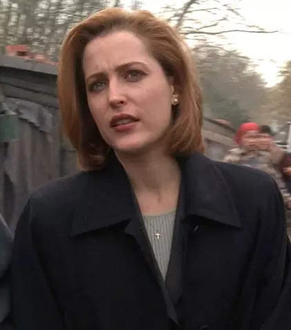După „Dosarele X” și „Zei americani”, Gillian Anderson are un nou proiect. Actrița a semnat cu Netflix