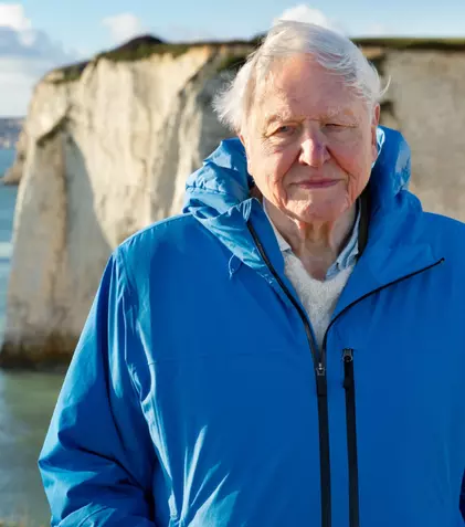 „Oceanul cu David Attenborough”. Documentarul care schimbă perspectiva asupra vieții marine, în premieră la National Geographic