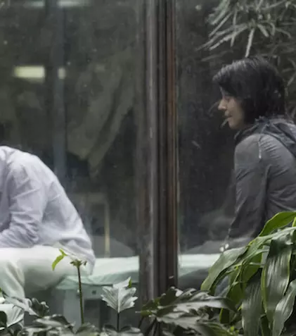 Serialul Netflix „The OA” va continua cu sezonul 2