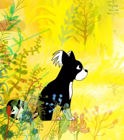 GALERIE FOTO. „Călătoria fantastică a Maronei” este filmul de deschidere al Festivalului Animest.14