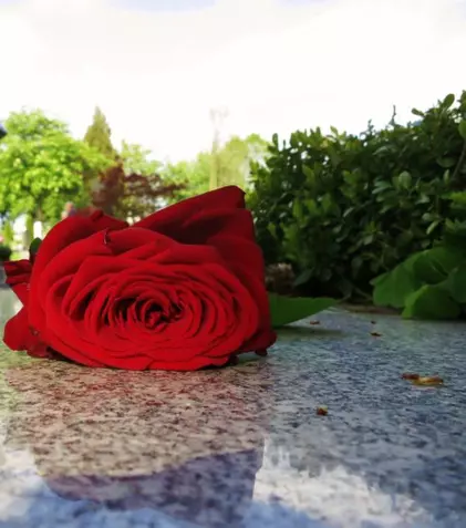 (P) Ce contine pachetul de incinerare oferit de o firma de servicii funerare din sectorul 1