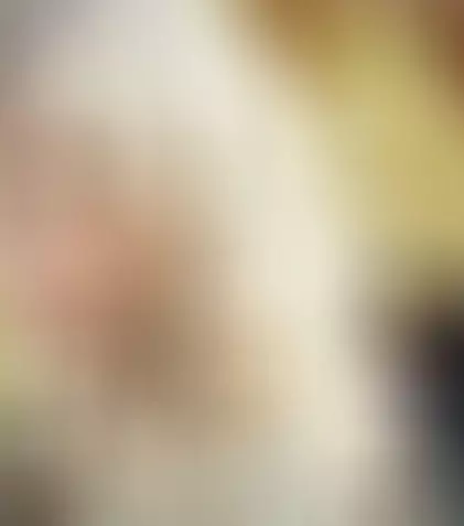 Grammy-urile s-au împărţit frăţeşte anul acesta