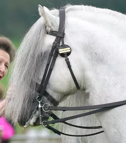 Noi detalii despre starea de sănătate a Prințesei Anne, după ce a suferit o comoție cerebrală. Ce a dezvăluit soțul ei