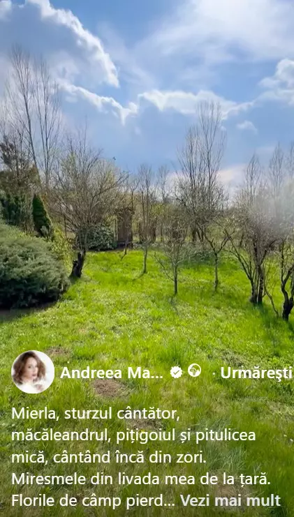 andreea marin6