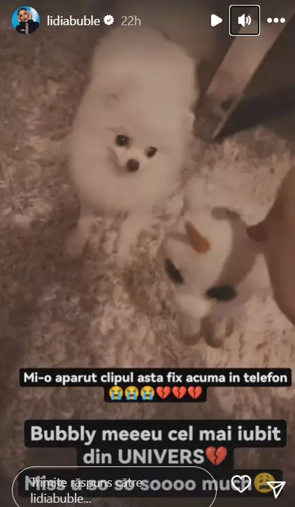 drama-prin-care-a-trecut-lidia-buble-2