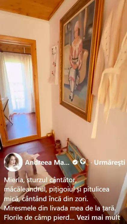 andreea marin1