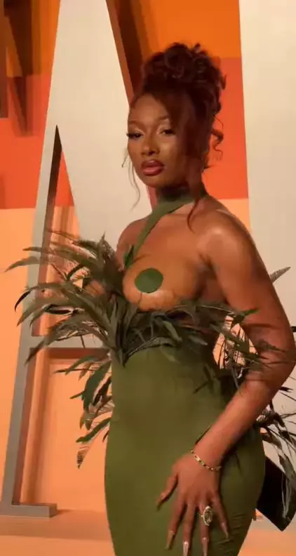 Megan Thee Stallion 1
