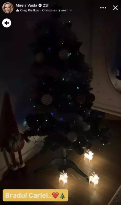 mirela-vaida-brazi-craciun (6)