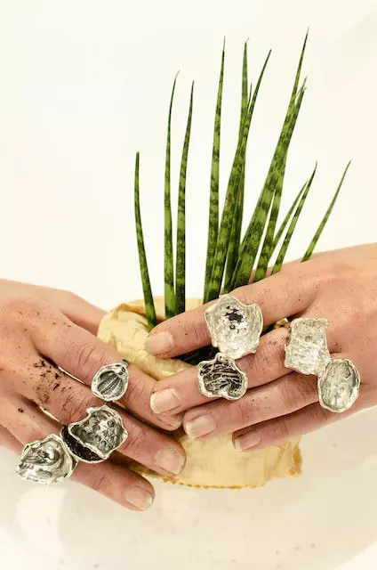 robertapavone_rings_2023_silver-copy