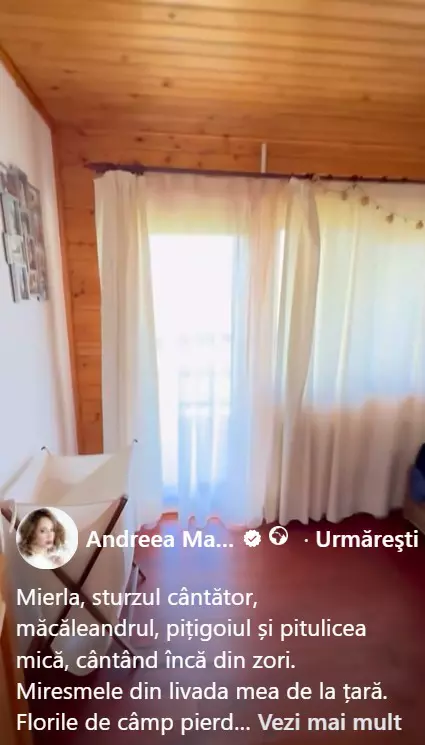 andreea marin2